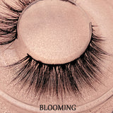 Jesvia Lashes 3D Lashes For 3 Packs/5 Packs/10 Packs