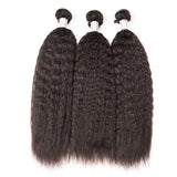 3 Bundles Deal Brazilian Hair Kinky Straight Jesvia Hair