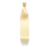 JESVIA HAIR #613 Blonde Color Hair STRAIGHT
