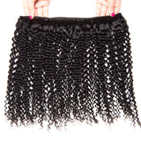 3 Bundles Deal Brazilian Hair Kinky Curly Jesvia Hair