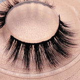 New Arrival Buy One Get One Free Jesvia Lashes 3D Lashes--CROWN