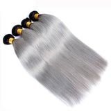Jesvia Hair 3 Bundles Deal #1B/Gray Ombre Gray Hair Straight