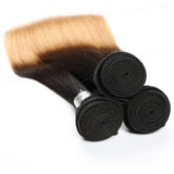 Jesvia Hair 3 Bundles Deal #1B/4/27 3 Tone Ombre Color Hair Straight